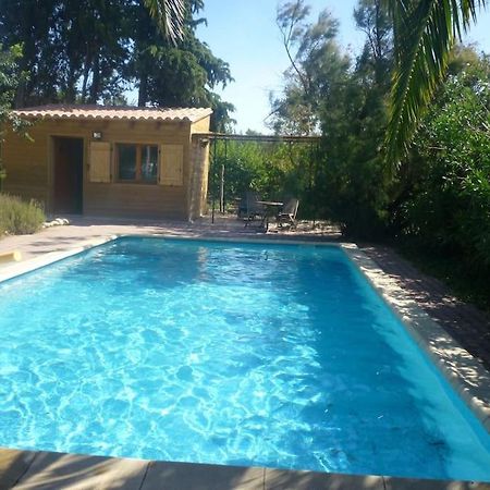 Duplex 130M2 Dans Un Mas Entoure De Vergers - Piscine Saint-Feliu-d'Avall Dış mekan fotoğraf
