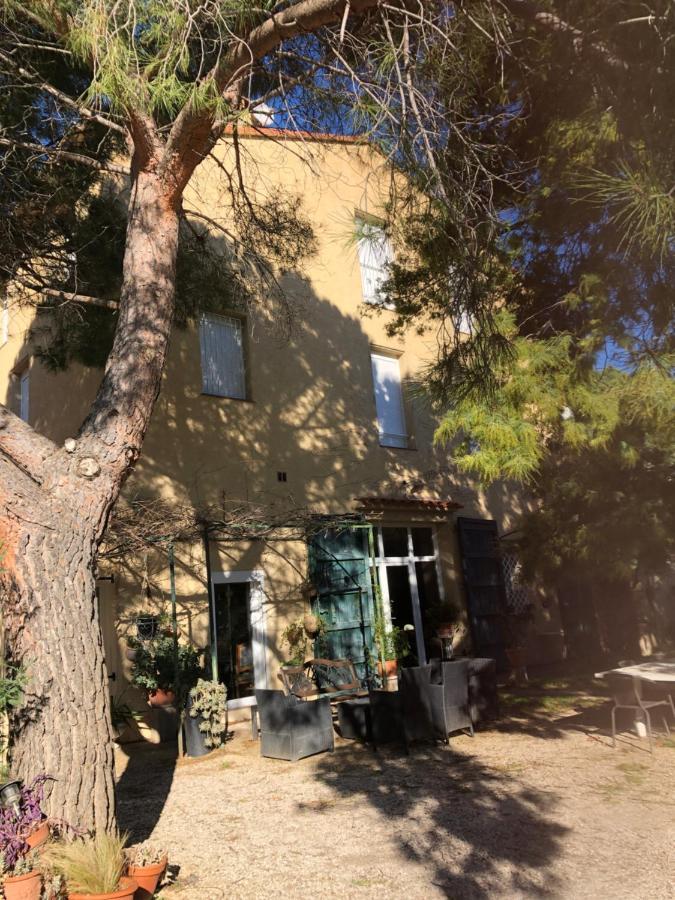 Duplex 130M2 Dans Un Mas Entoure De Vergers - Piscine Saint-Feliu-d'Avall Dış mekan fotoğraf