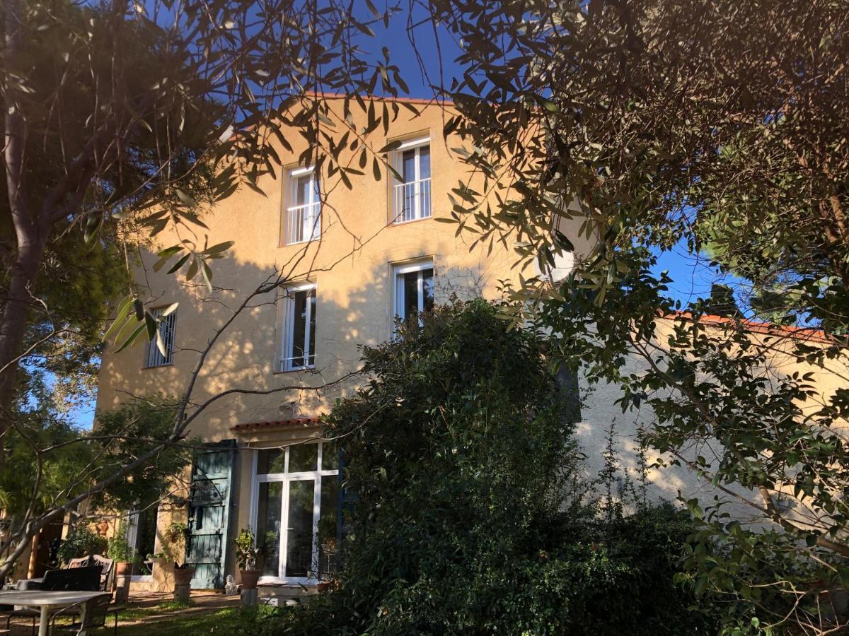 Duplex 130M2 Dans Un Mas Entoure De Vergers - Piscine Saint-Feliu-d'Avall Dış mekan fotoğraf
