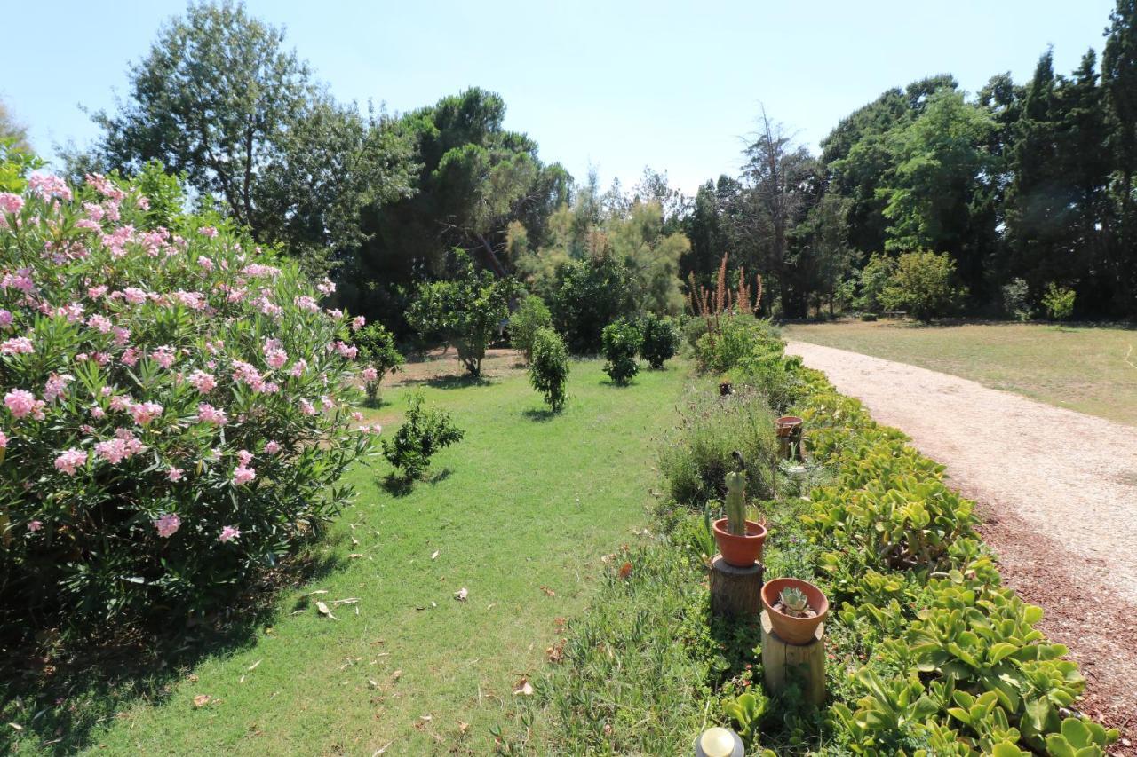 Duplex 130M2 Dans Un Mas Entoure De Vergers - Piscine Saint-Feliu-d'Avall Dış mekan fotoğraf